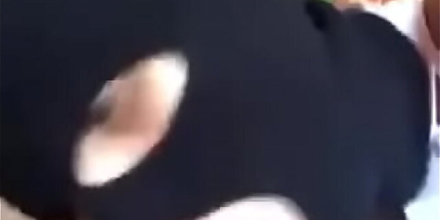 ass,big ass,big cock,big tits,blowjob,latina