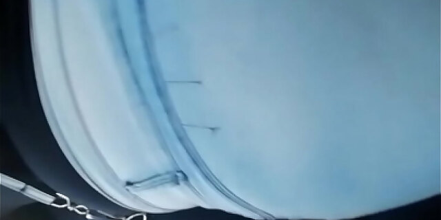 ass,bus